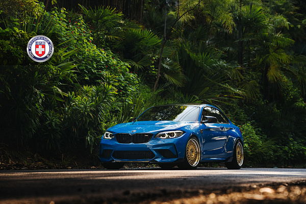 Фото дисков HRE 501 Глянцевый графит на BMW 2/M2 (F22/F87)