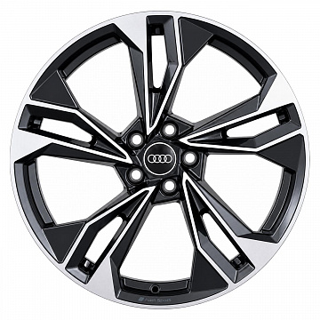 Кованые диски Audi 5 Double Spoke Sport F5
