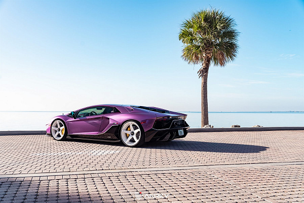 Фото дисков Anrky RS5.3 Белый глянец на Lamborghini Aventador