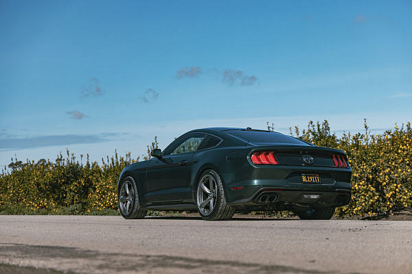 Фото дисков American Racing TTF Сатиновый графит на Ford Mustang VI