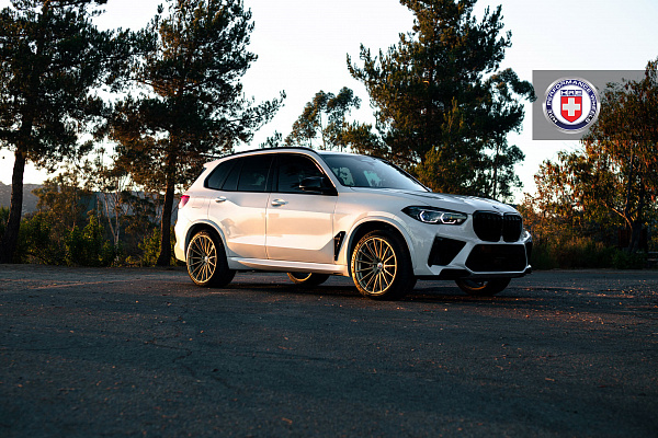 Фото дисков HRE P103SC Сатиновое золото на BMW X5/X5 M (G05/G18/F95)