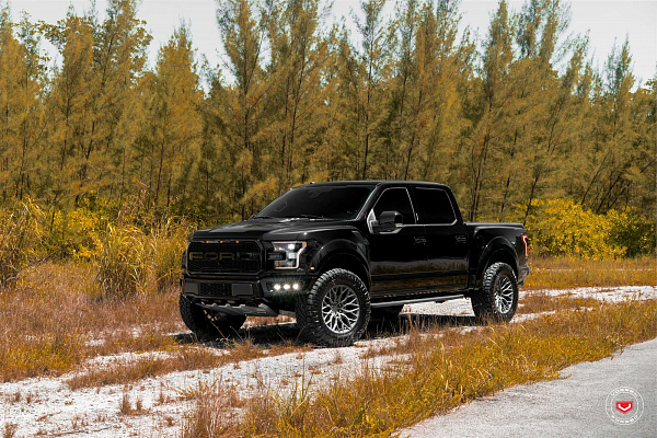 Ford F-150 XIII