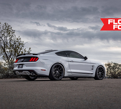 Фото дисков HRE FF21 на Ford Mustang VI