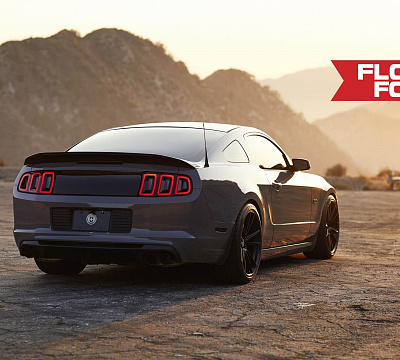 Фото дисков HRE FF04 на Ford Mustang V
