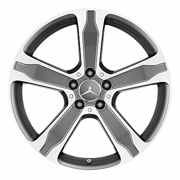 Кованые диски Mercedes-Benz 5 Spoke v10