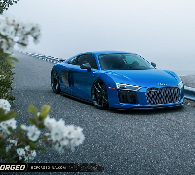 Фото дисков BC Forged RZ21 на Audi R8 (4S)