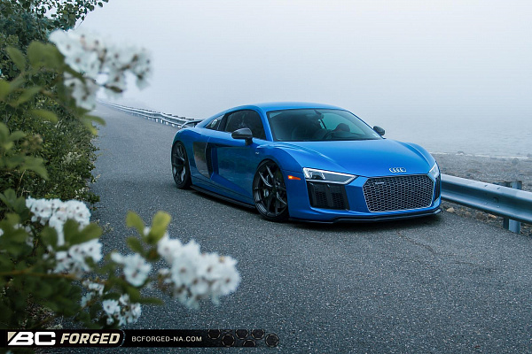 Фото дисков BC Forged RZ21 Глянцевый темный лак на Audi R8 (4S)