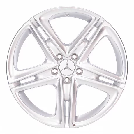 Кованые диски Mercedes-Benz 5 Twin Spoke v37