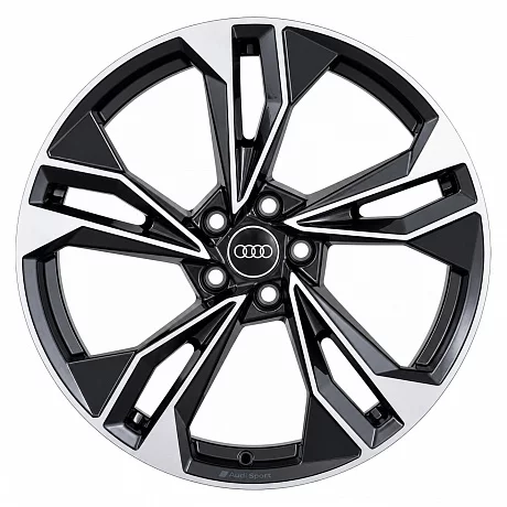 Кованые диски Audi 5 Double Spoke Sport F5