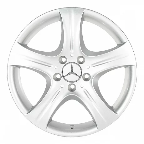 Кованые диски Mercedes-Benz 5 Spoke v1