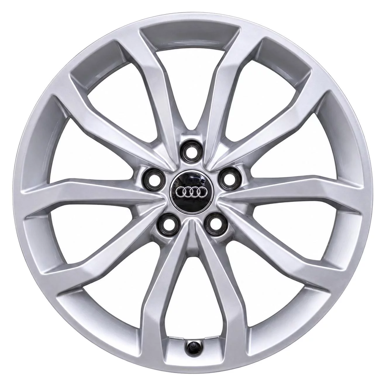 Кованые диски Audi 10 Spoke V 8W