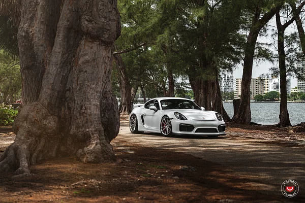 Фото дисков Vossen CG-203 Глянцевый лак на Porsche Cayman II
