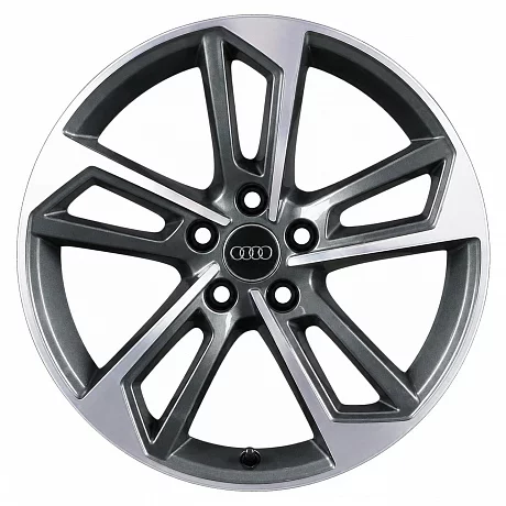 Кованые диски Audi 5 Double Spoke Trapezoid 8W