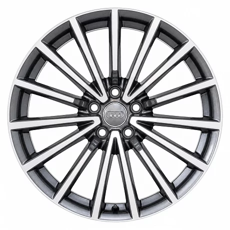 Кованые диски Audi 15 Spoke S-Line F5