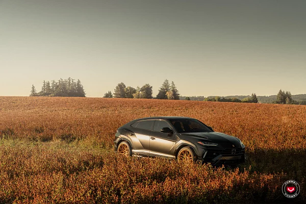 Фото дисков Vossen EVO-5 Глянцевое золото на Lamborghini Urus