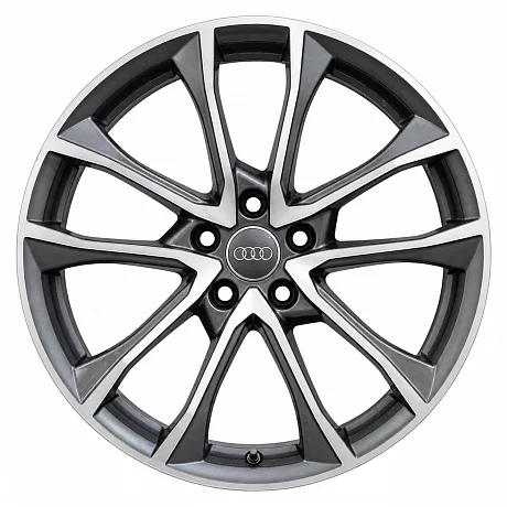 Кованые диски Audi 5 Double Spoke 8W