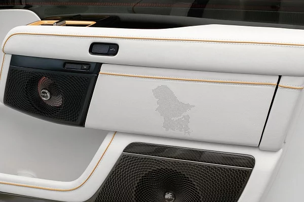 Фото дисков Mansory FT.19 Белый глянец на Zeekr 9X