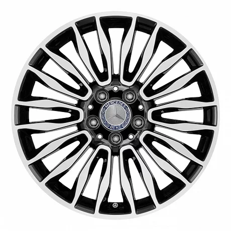 Кованые диски Mercedes-Benz 10 Twin Spoke v2