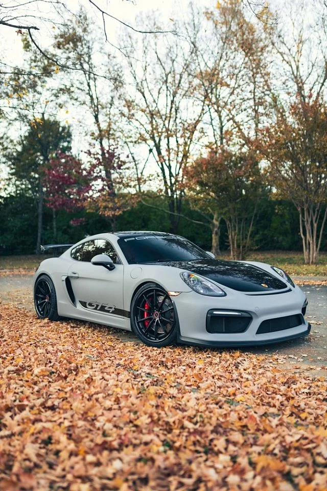 Brixton Forged R11-R / Porsche Cayman II