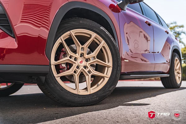 Фото дисков Vossen EVO-4 Сатиновая шампань на Toyota Highlander U70