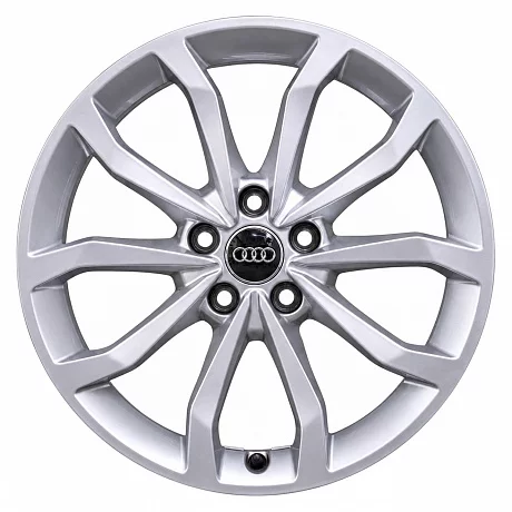 Кованые диски Audi 10 Spoke V 8W