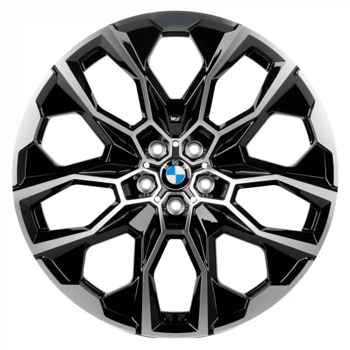Кованые диски для BMW X7 R22