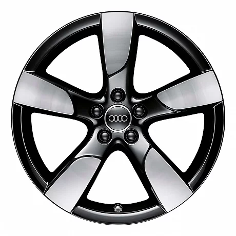 Кованые диски Audi 5 Arm Hollow Spoke v1