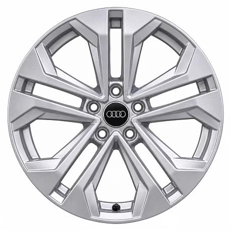 Кованые диски Audi 5 Double Spoke Allroad