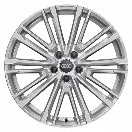 Кованые диски Audi 10 V Spoke