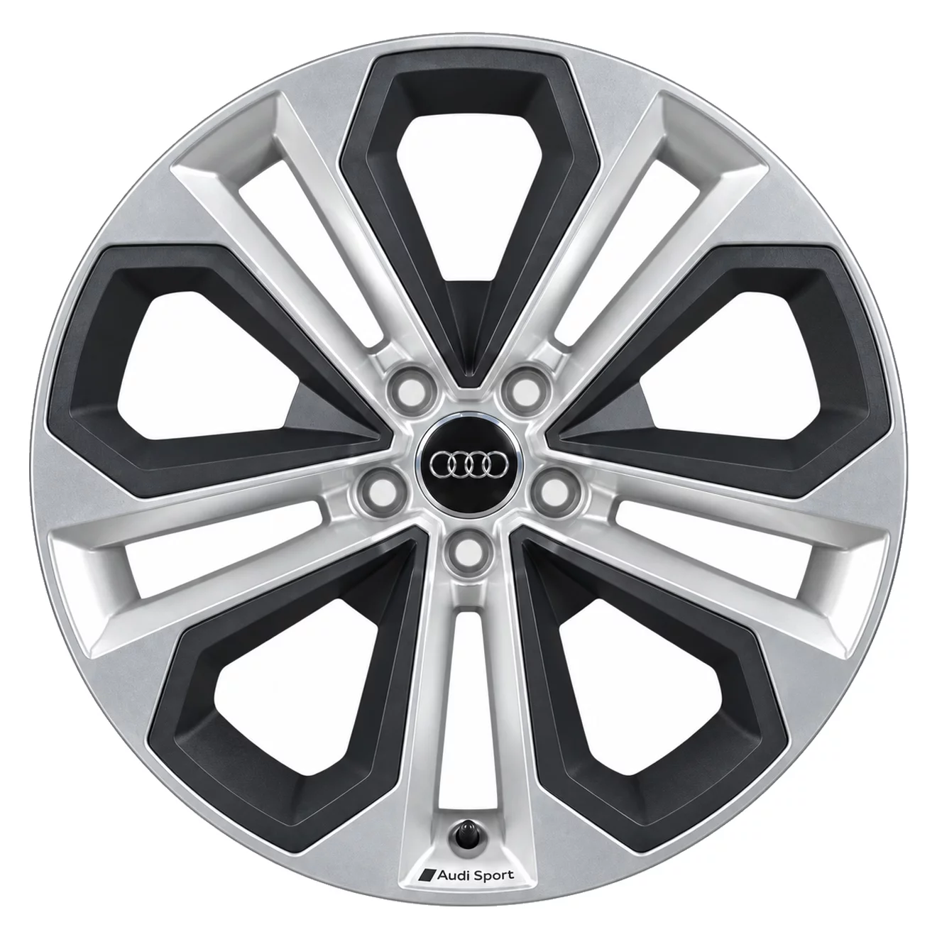Кованые диски Audi 5 Arm Sport F3