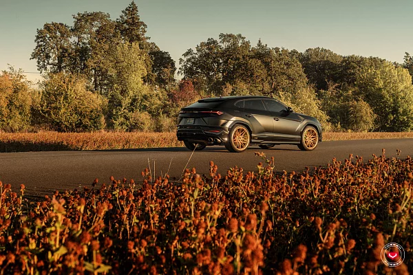 Фото дисков Vossen EVO-5 Глянцевое золото на Lamborghini Urus