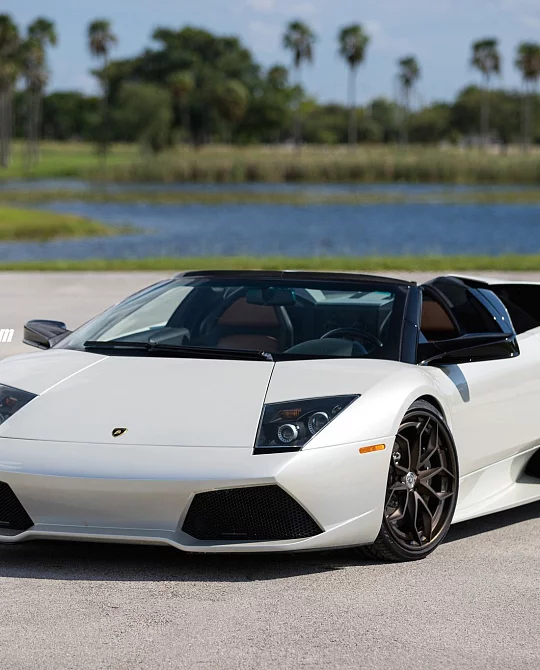 Фото дисков S201H Сатиновая бронза на Lamborghini Murcielago