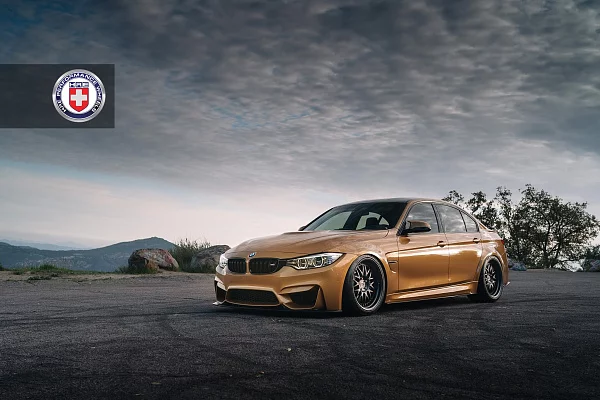 Фото дисков HRE 540 Черный сатин на BMW 4/M4 (F32/F82)