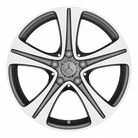 Кованые диски Mercedes-Benz 5 Spoke v24