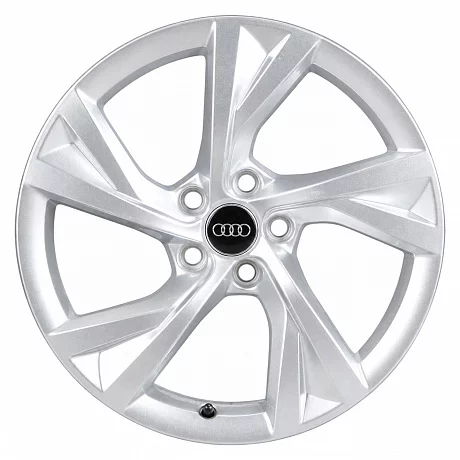 Кованые диски Audi 5 Spoke Flag 8W