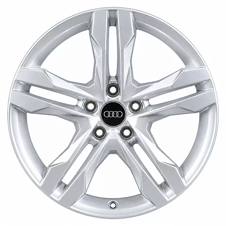 Кованые диски Audi 5 Twin Spoke Dynamic 8W