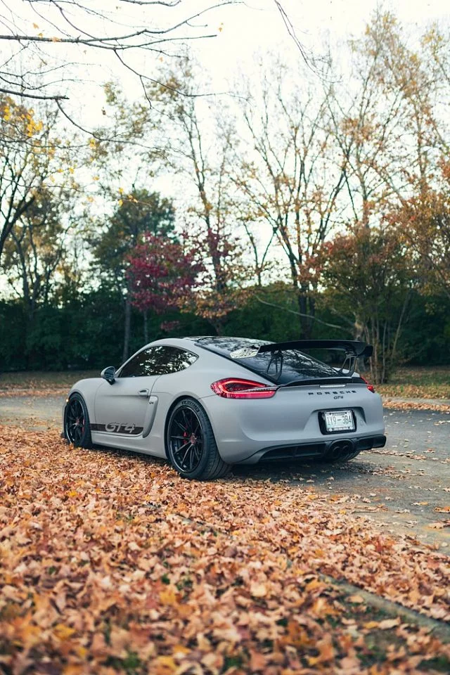 Brixton Forged R11-R / Porsche Cayman II