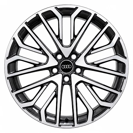 Кованые диски Audi 5 Multi Spoke S